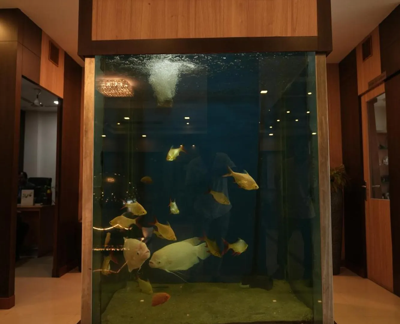 Hotel Rustic Leisures Resort Kochi